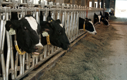 Screenshot 2026-01-14 at 1.02.46 PM